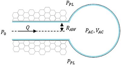 Surfactant-Mediated Airway and Acinar Interactions in a Multi-Scale Model of a Healthy Lung